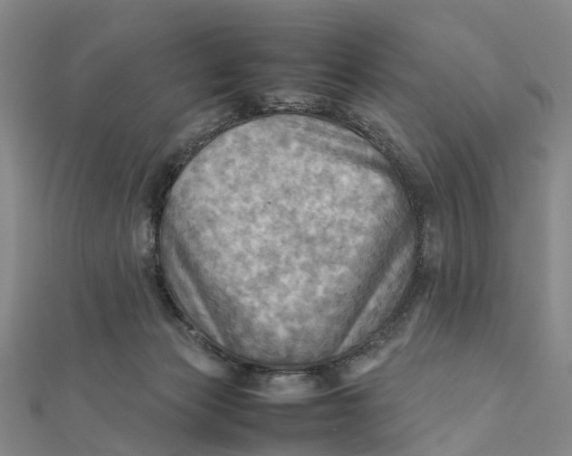 X0000112090173200908251135