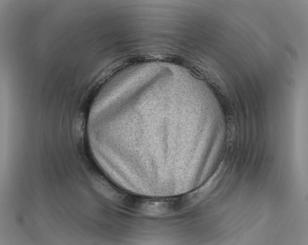 X0000112090174200908251135