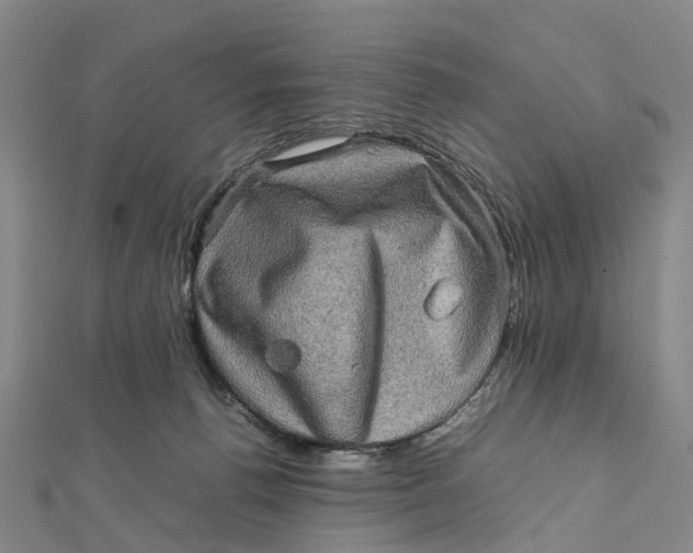 X0000112090176200908251135