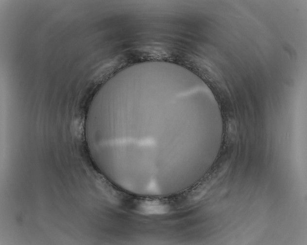 X0000112090177200908251135