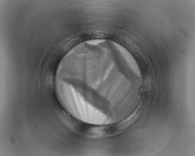 X0000112090178200908251135