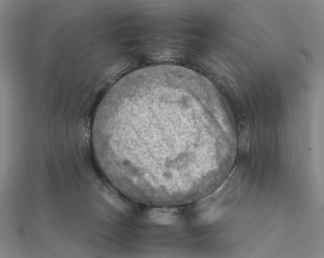 X0000112090179200908251135