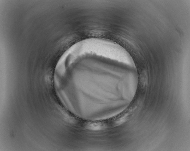 X0000112090181200908251135