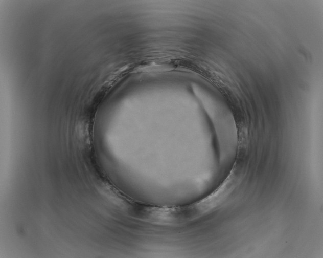 X0000112090182200908251135