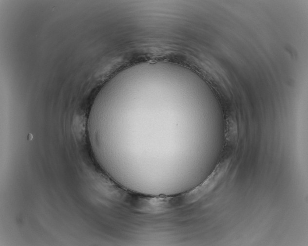 X0000112090184200908251135