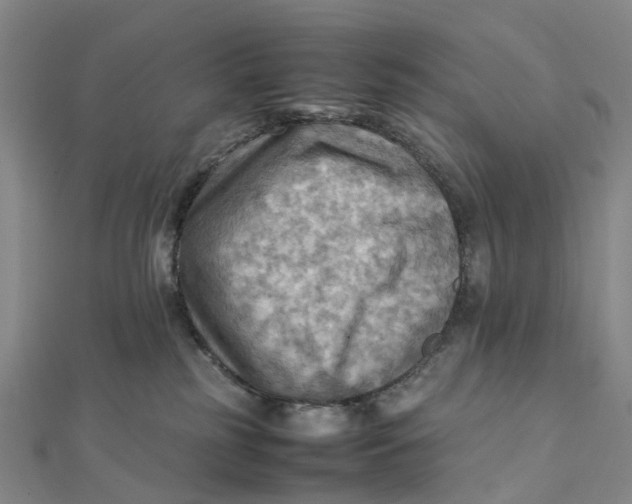 X0000112090185200908251135