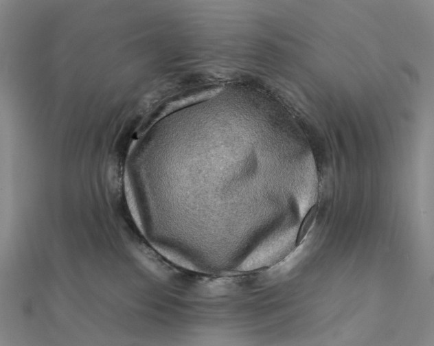 X0000112090186200908251135