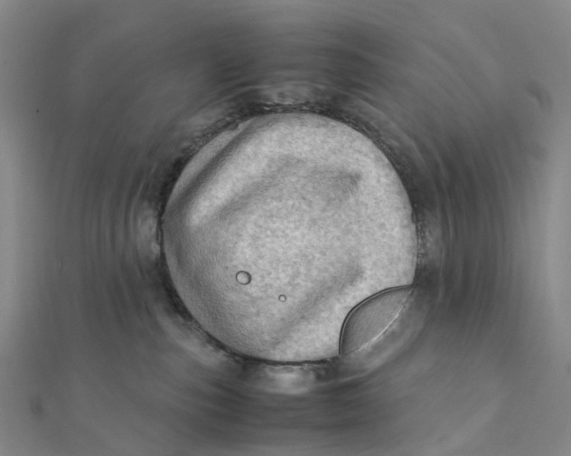 X0000112090187200908251135