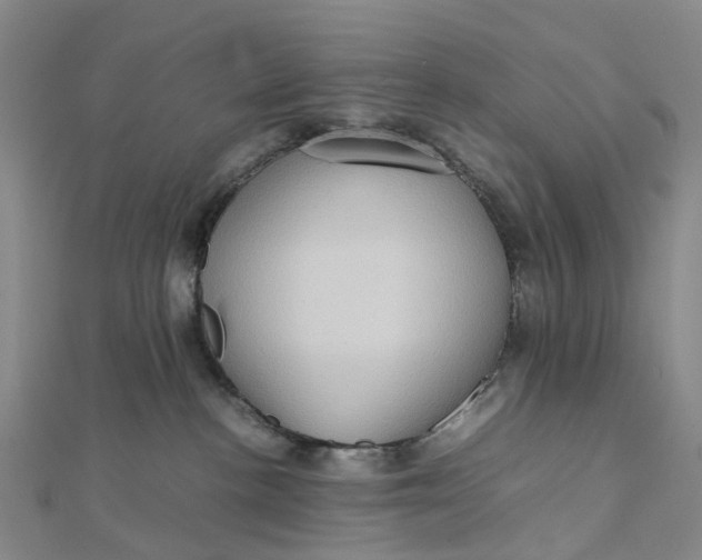 X0000112090188200908251135