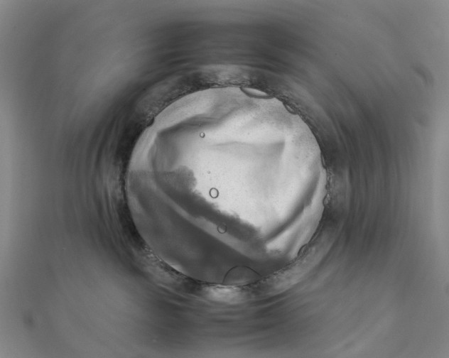 X0000112090189200908251135