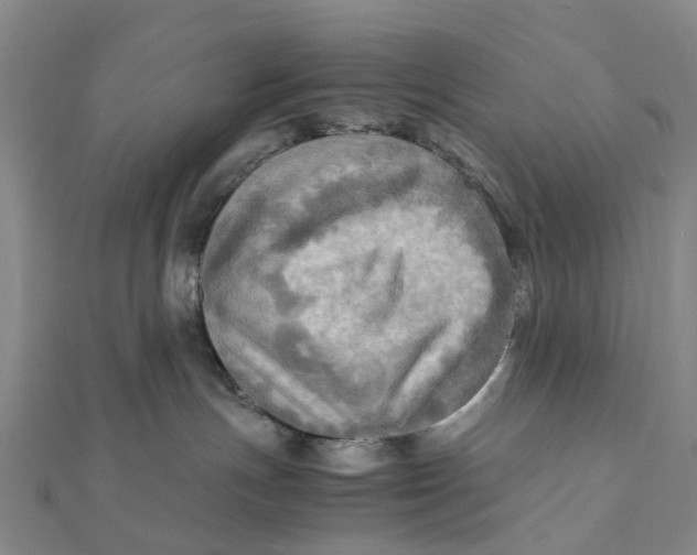 X0000112090191200908251135