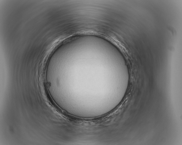 X0000112090193200908251135