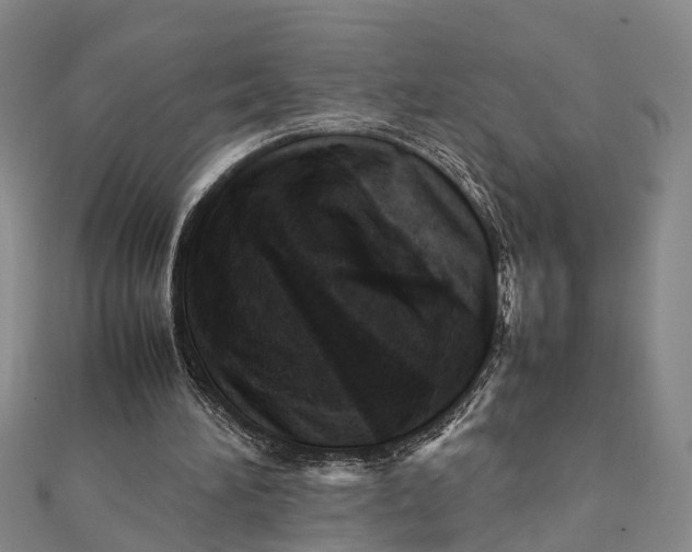 X0000112090196200908251135