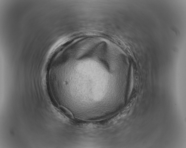X0000112090197200908251135