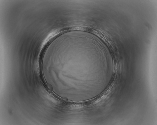 X0000112090198200908251135