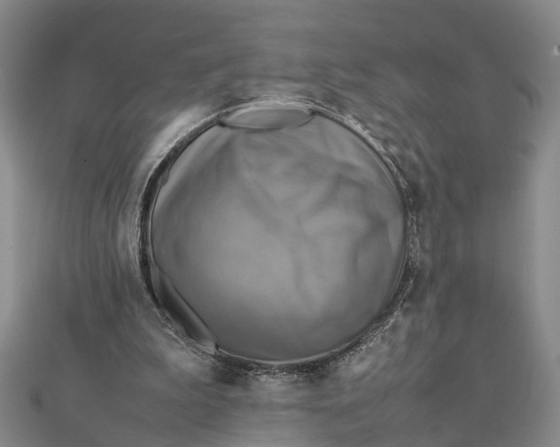 X0000112090199200908251135