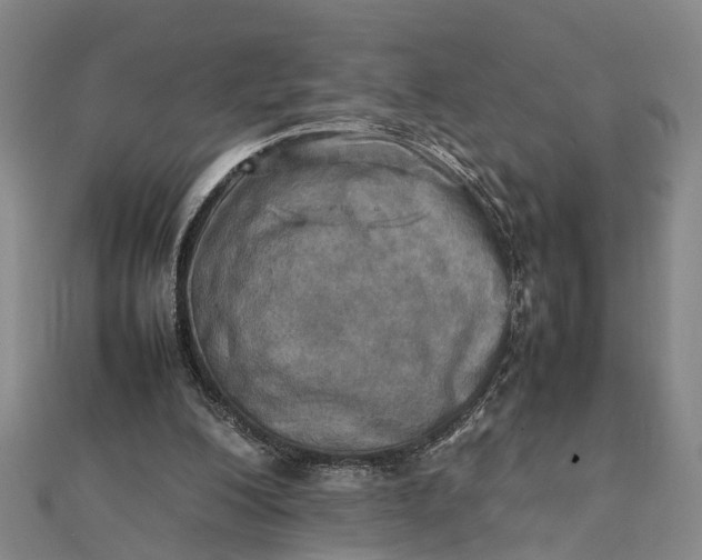 X0000112090200200908251135