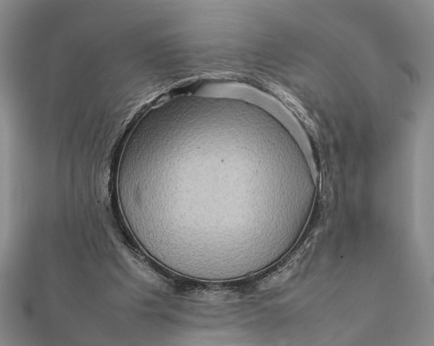 X0000112090201200908251135