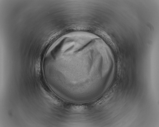 X0000112090202200908251135