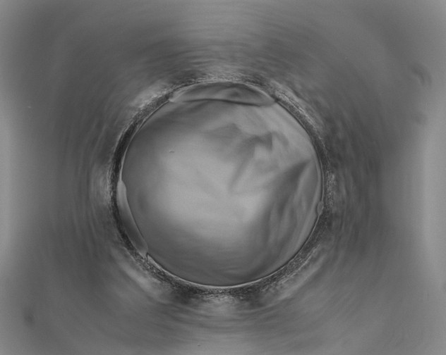 X0000112090203200908251134