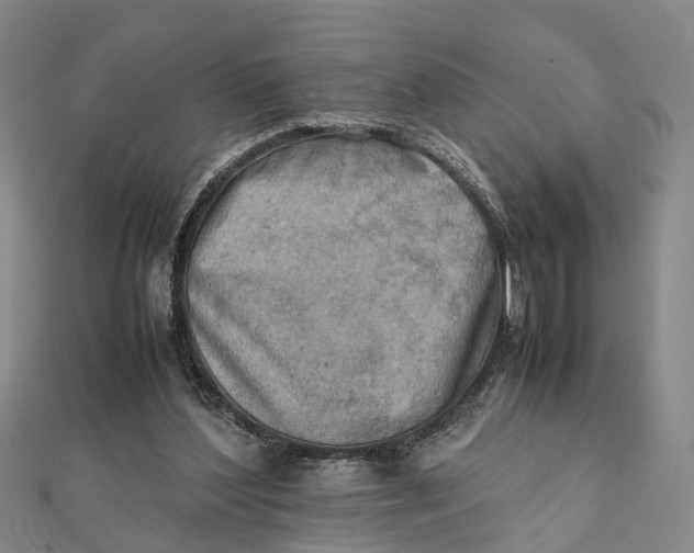 X0000112090204200908251134