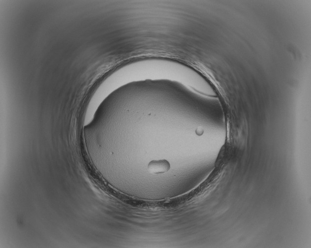 X0000112090205200908251134