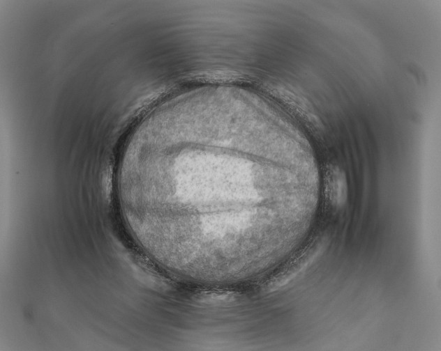 X0000112090206200908251134
