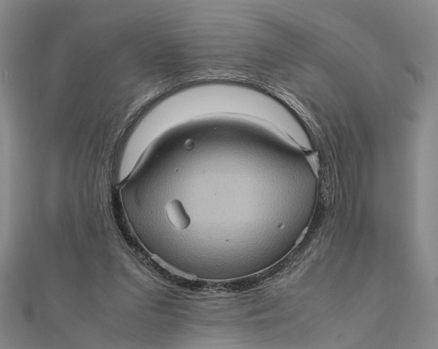 X0000112090207200908251134