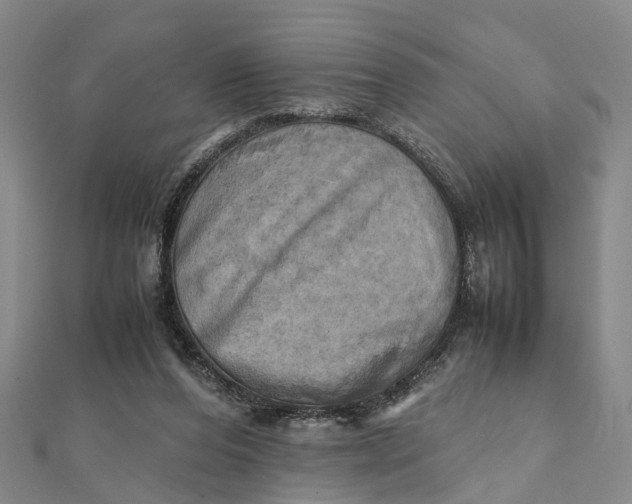 X0000112090208200908251134
