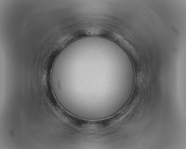 X0000112090209200908251134