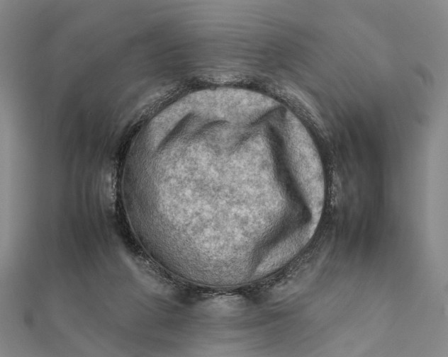 X0000112090210200908251134