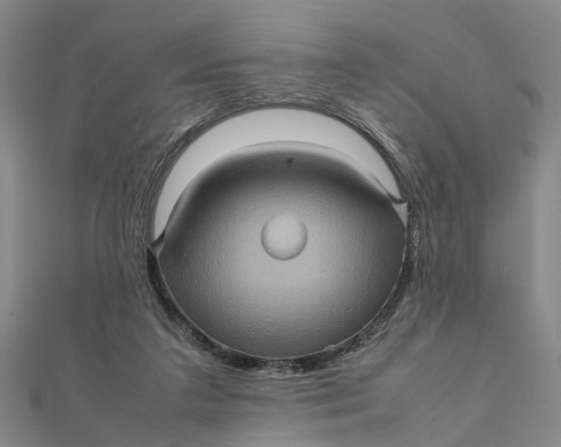 X0000112090211200908251134