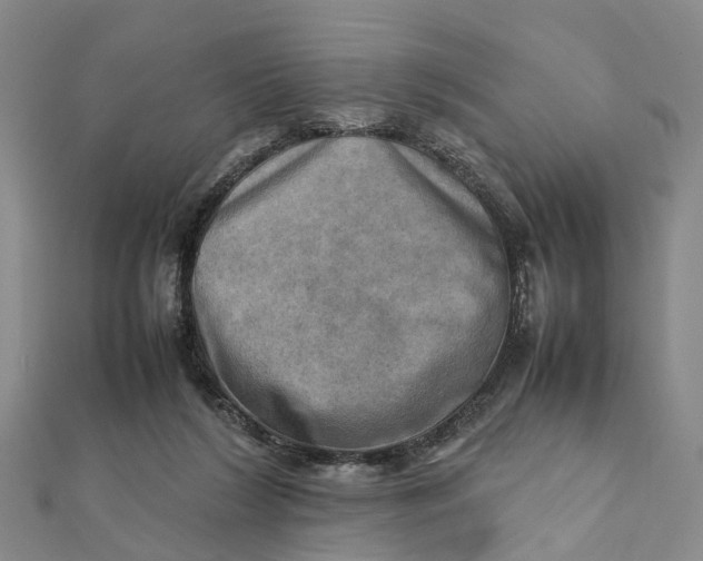X0000112090212200908251134