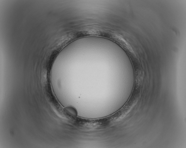 X0000112090213200908251134