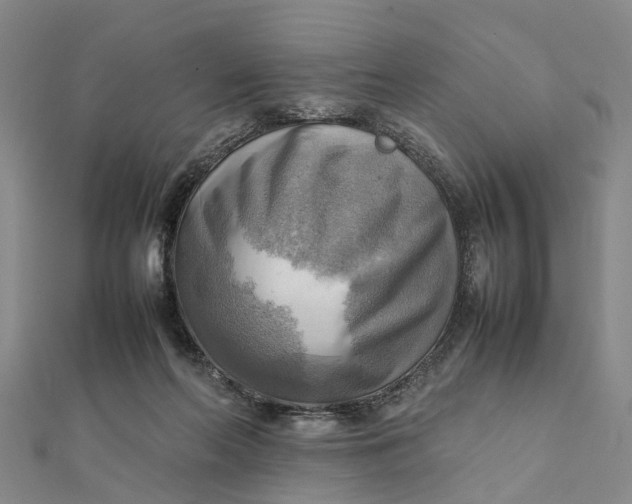 X0000112090214200908251134