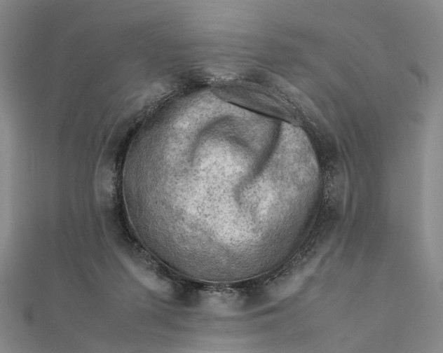 X0000112090215200908251134