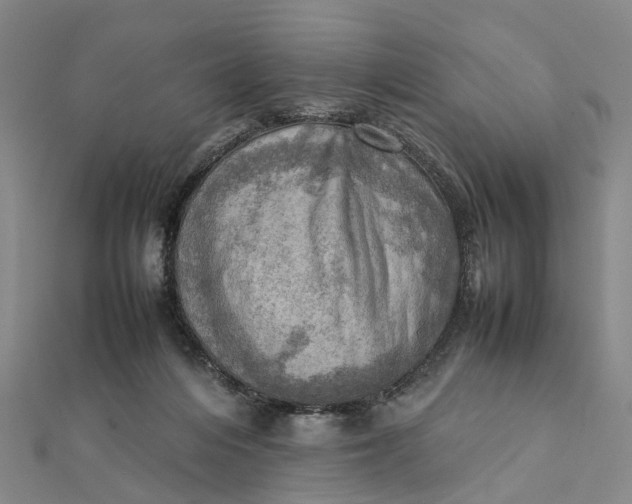 X0000112090216200908251134