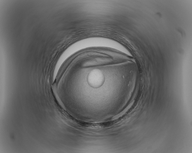 X0000112090217200908251134