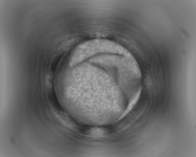 X0000112090218200908251134
