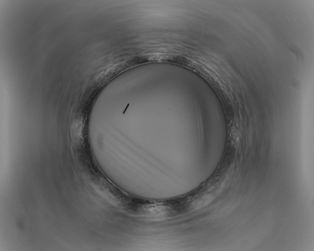 X0000112090219200908251134