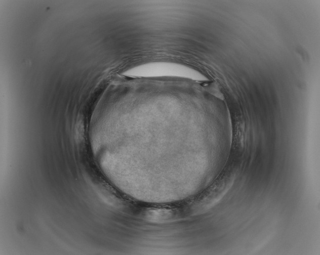 X0000112090220200908251134