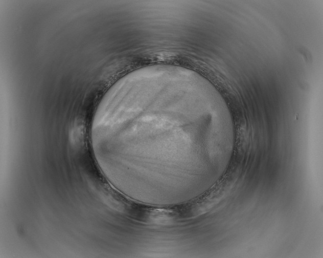 X0000112090222200908251134