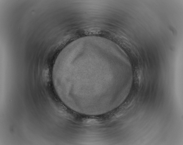 X0000112090224200908251134