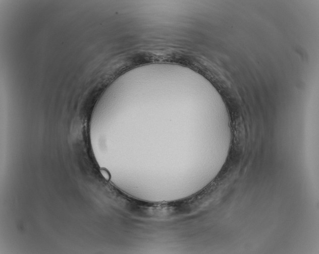 X0000112090225200908251134
