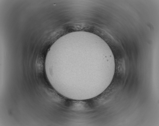 X0000112090226200908251134