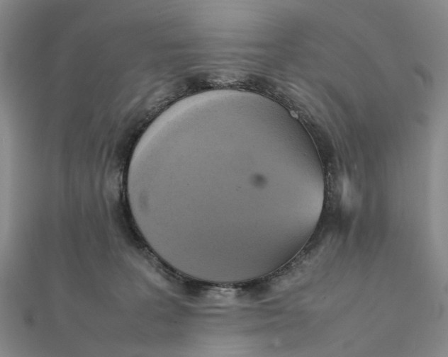 X0000112090227200908251134