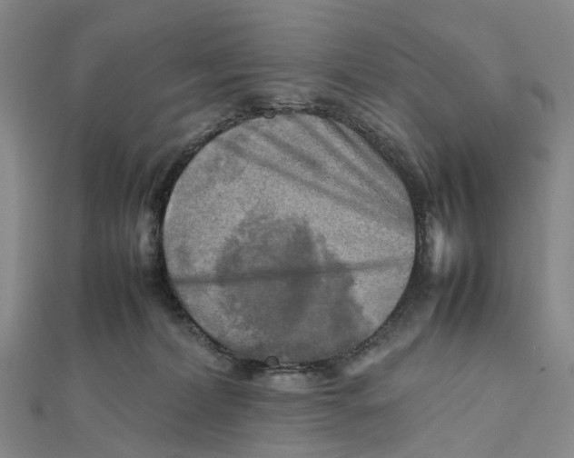 X0000112090228200908251134