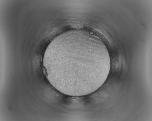 X0000112090229200908251134