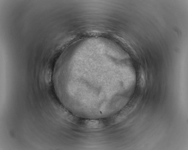X0000112090230200908251134