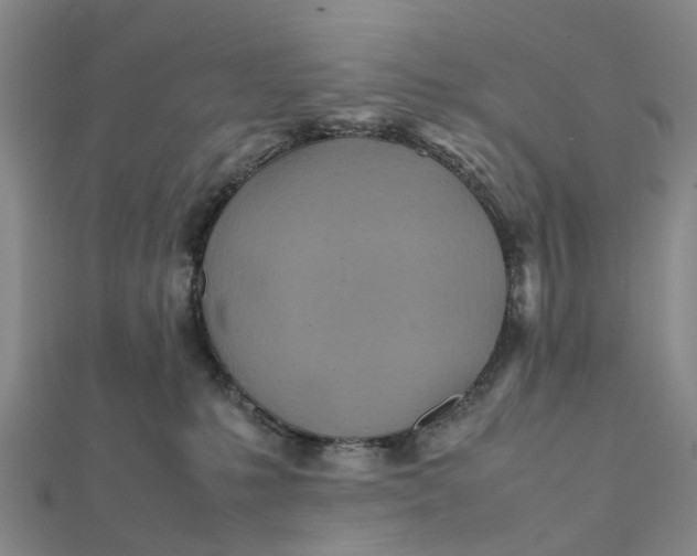 X0000112090231200908251134